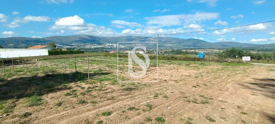 Terreno para Venda em Ferro Foto 6