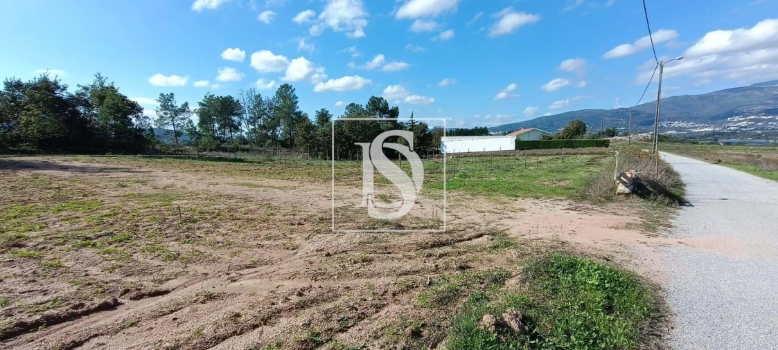 Terreno para Venda em Ferro Foto 9