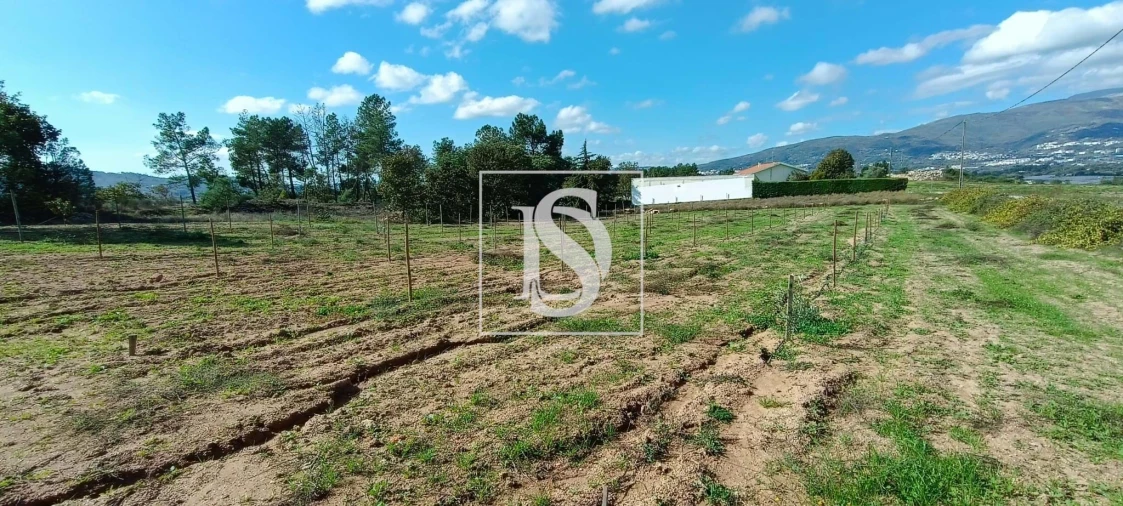 Terreno para Venda em Ferro Foto 7