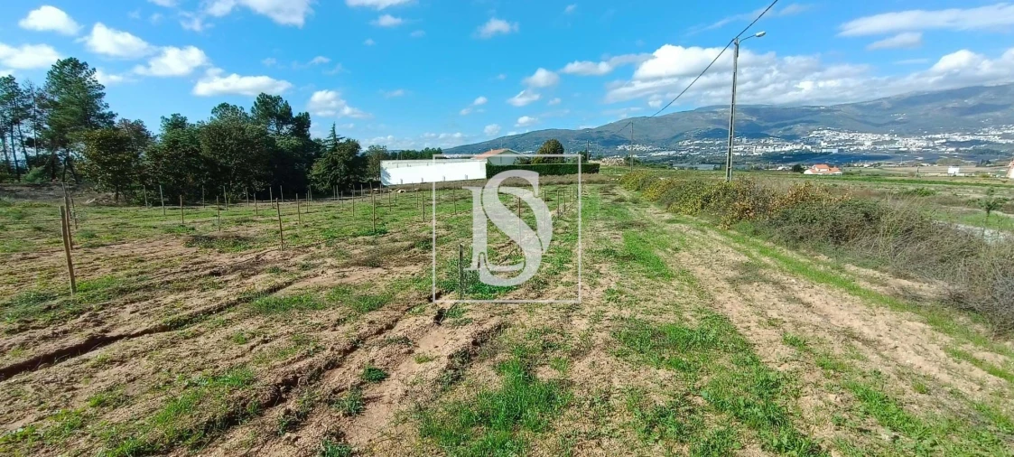 Terreno para Venda em Ferro Foto 4