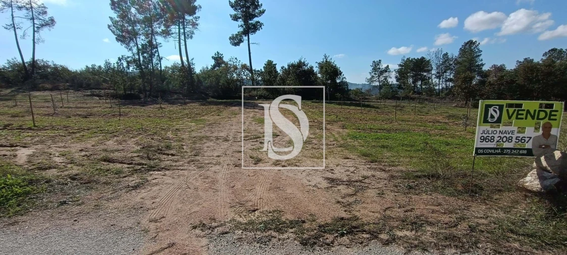 Terreno para Venda em Ferro Foto 2