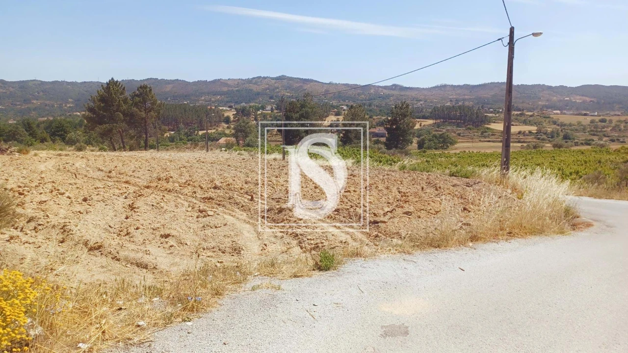 Terreno para Venda em Ferro Foto 7