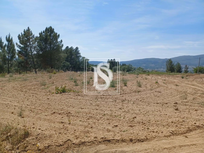 Terreno para Venda em Ferro Foto 3