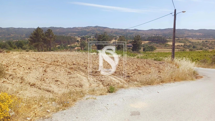 Terreno para Venda em Ferro Foto 7