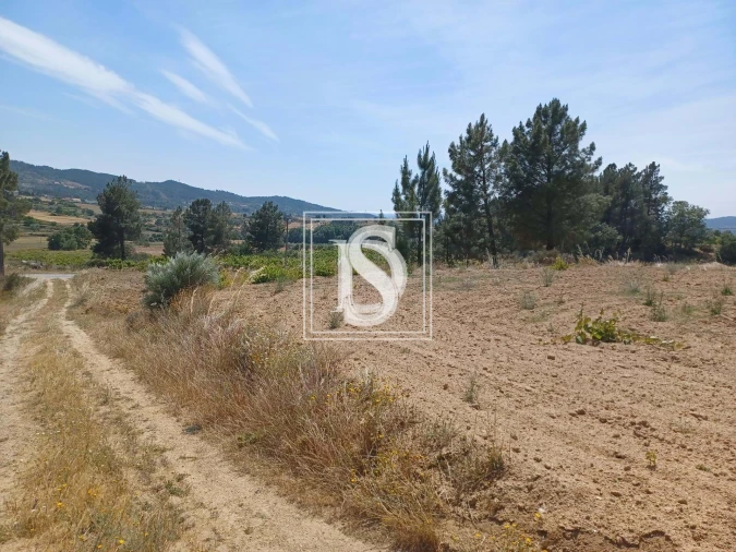 Terreno para Venda em Ferro Foto 4