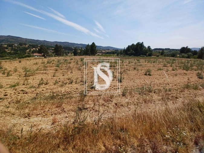 Terreno para Venda em Ferro Foto 6