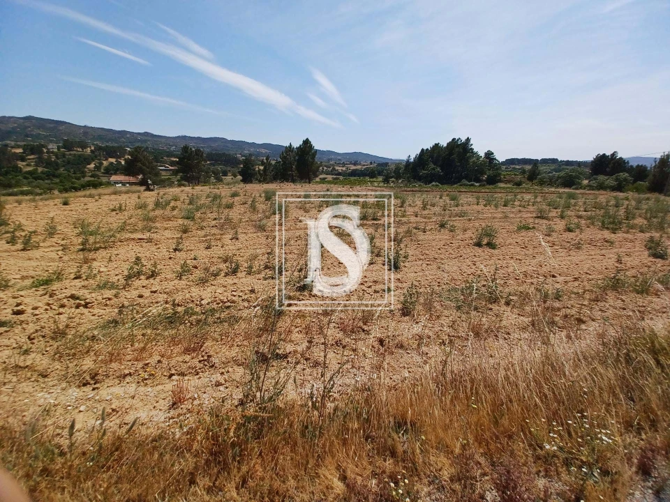 Terreno para Venda em Ferro Foto 6