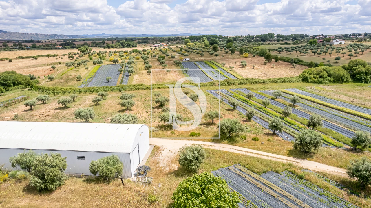 Quinta para Venda em Ladoeiro Foto 3