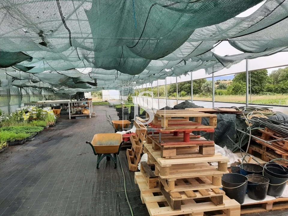 Quinta para Venda em Ladoeiro Foto 18