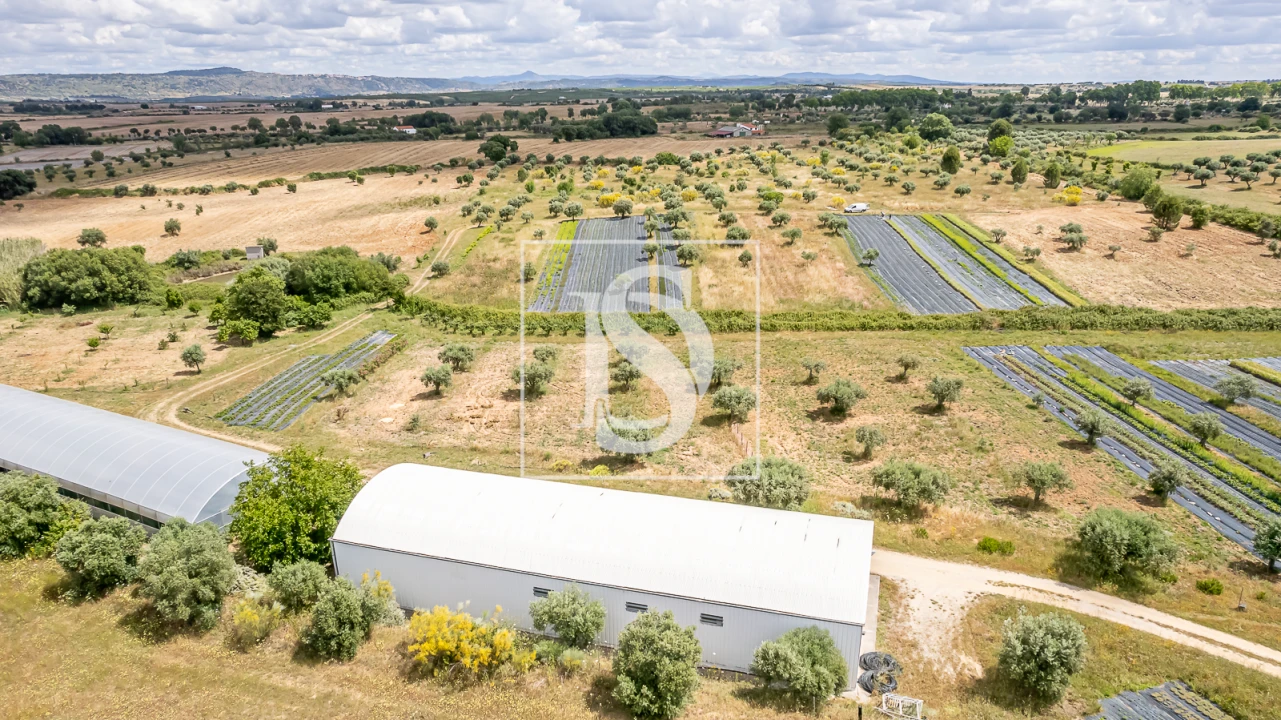 Quinta para Venda em Ladoeiro Foto 11