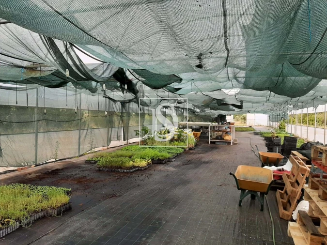 Quinta para Venda em Ladoeiro Foto 16