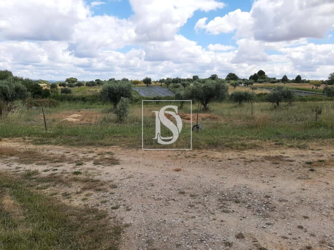 Quinta para Venda em Ladoeiro Foto 9