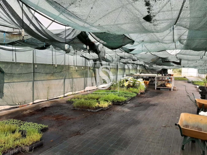 Quinta para Venda em Ladoeiro Foto 14