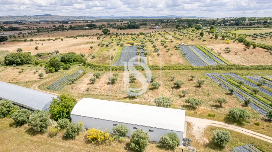 Quinta para Venda em Ladoeiro Foto 11