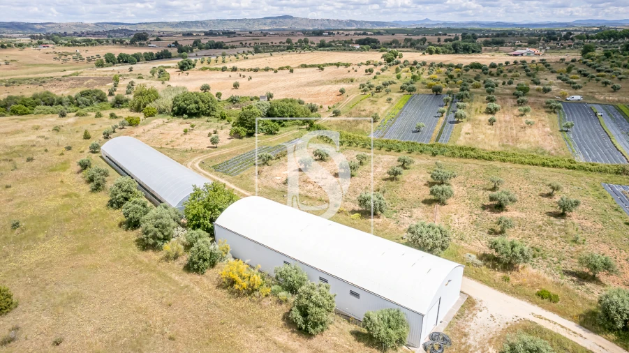 Quinta para Venda em Ladoeiro
