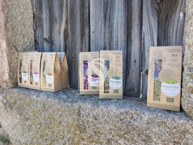 Quinta para Venda em Ladoeiro Foto 4