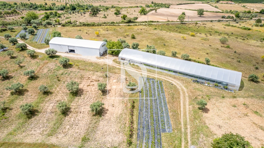 Quinta para Venda em Ladoeiro Foto 15