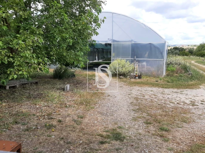 Quinta para Venda em Ladoeiro Foto 6