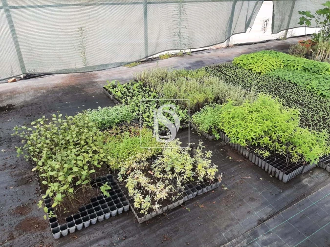 Quinta para Venda em Ladoeiro Foto 13