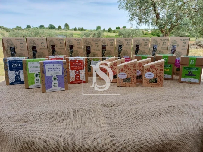 Quinta para Venda em Ladoeiro Foto 2