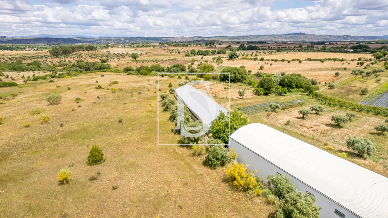 Quinta para Venda em Ladoeiro Foto 12