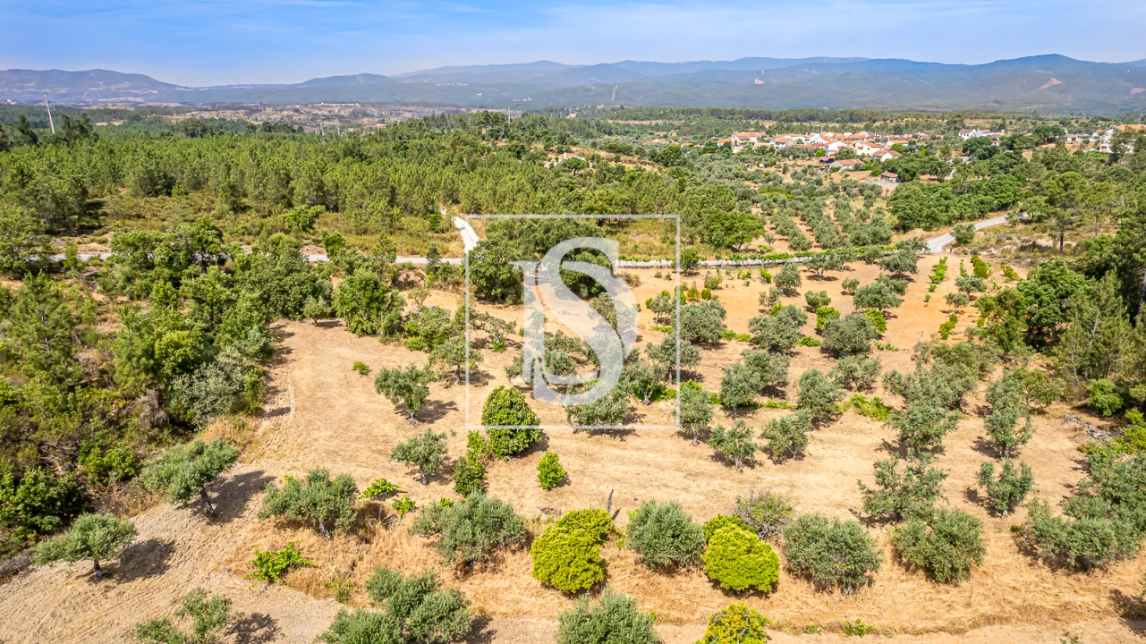 Terreno para Venda em Sarzedas Foto 18