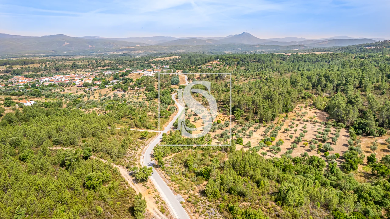 Terreno para Venda em Sarzedas Foto 8