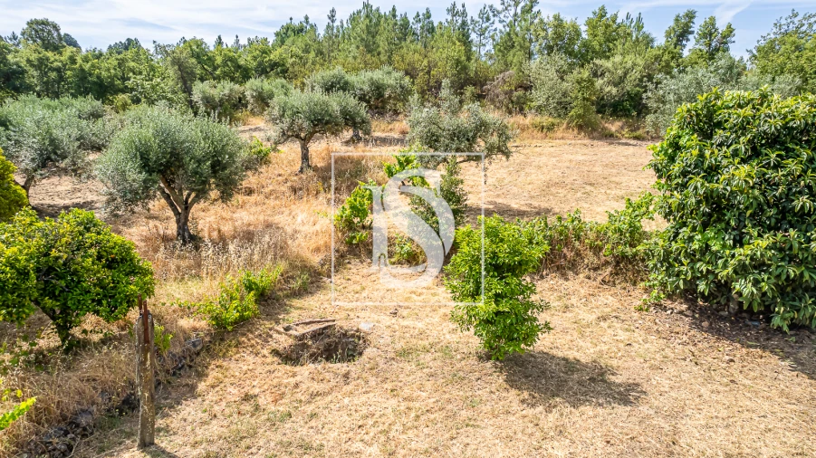 Terreno para Venda em Sarzedas Foto 22