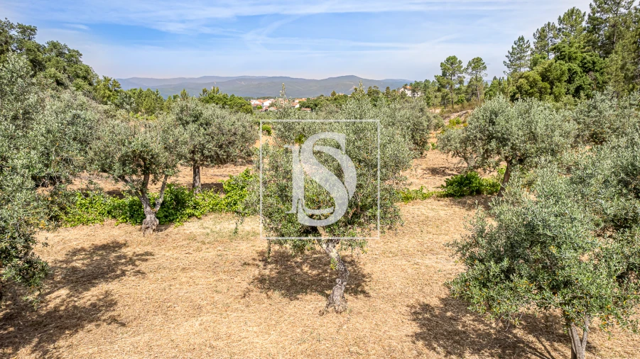 Terreno para Venda em Sarzedas Foto 20