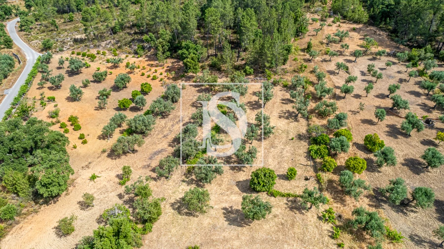 Terreno para Venda em Sarzedas Foto 11