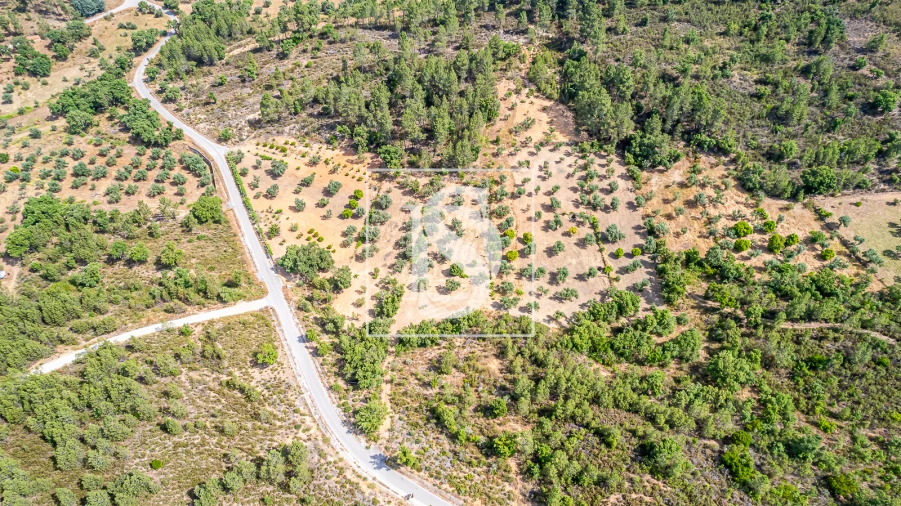 Terreno para Venda em Sarzedas Foto 3