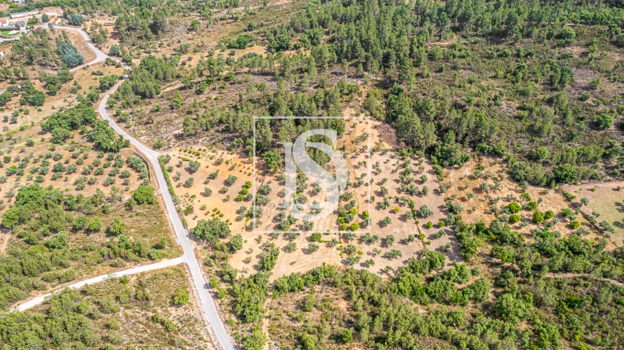 Terreno para Venda em Sarzedas Foto 6