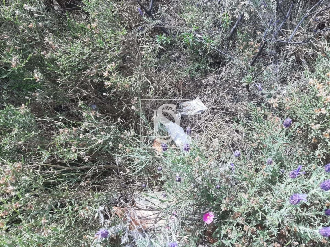 Terreno para Venda em Sarzedas Foto 31