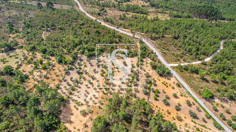 Terreno para Venda em Sarzedas Foto 16