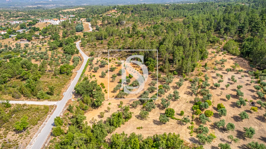 Terreno para Venda em Sarzedas Foto 10