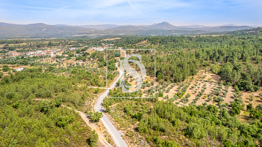 Terreno para Venda em Sarzedas Foto 8