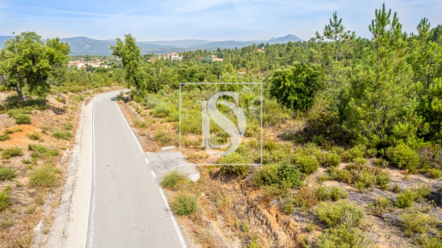 Terreno para Venda em Sarzedas Foto 12