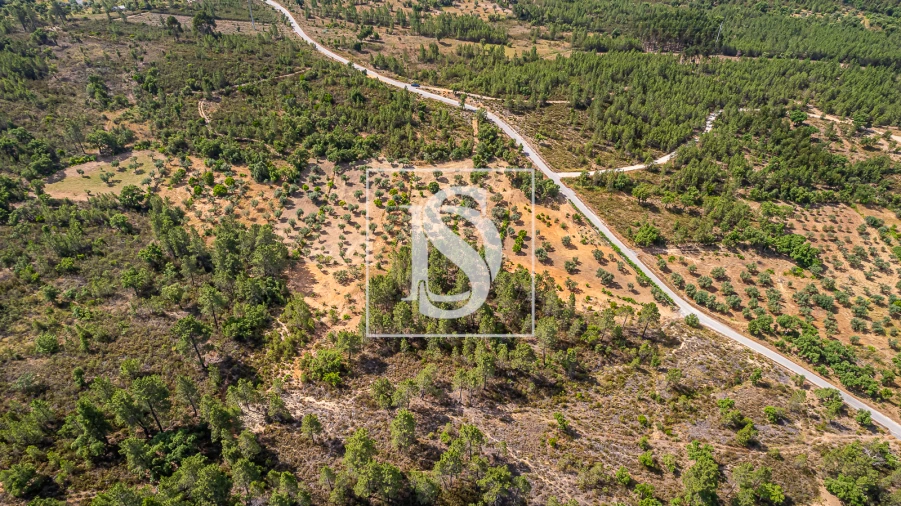 Terreno para Venda em Sarzedas Foto 15