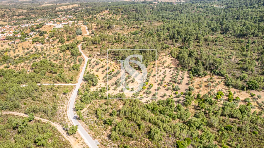 Terreno para Venda em Sarzedas Foto 7