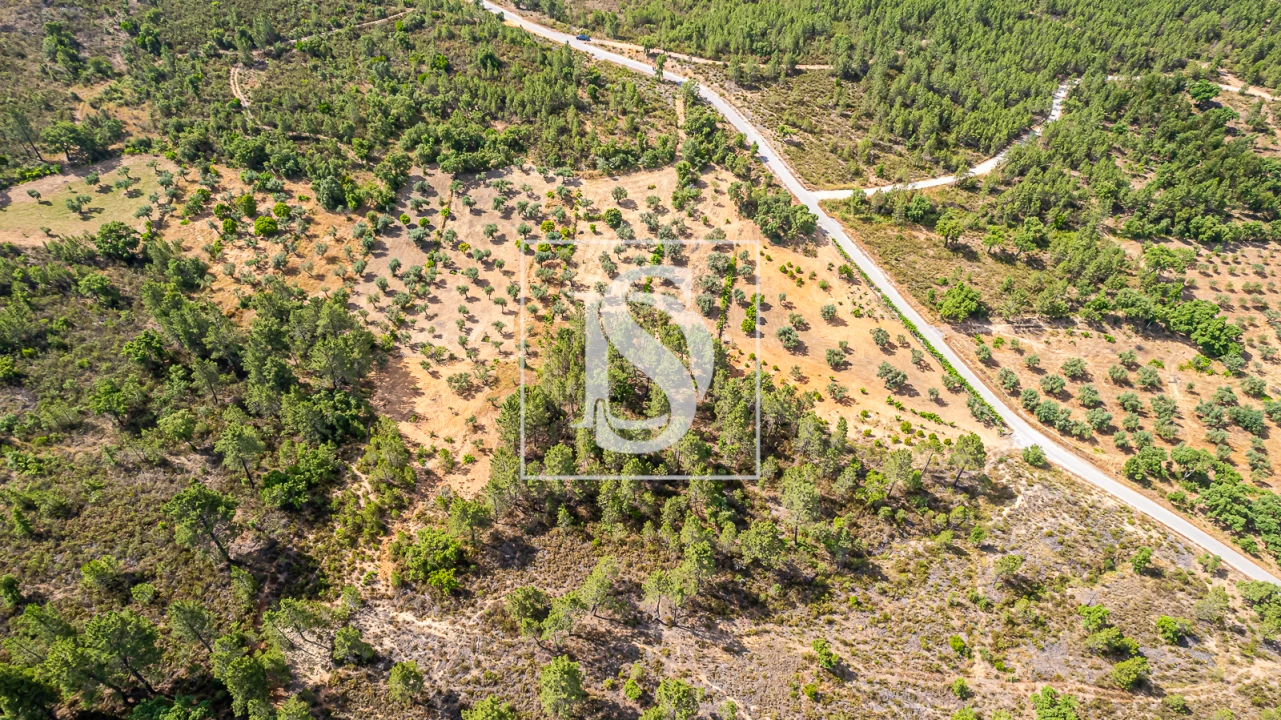 Terreno para Venda em Sarzedas Foto 14