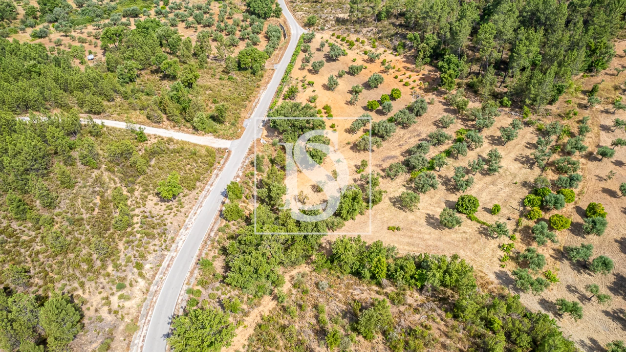 Terreno para Venda em Sarzedas Foto 9