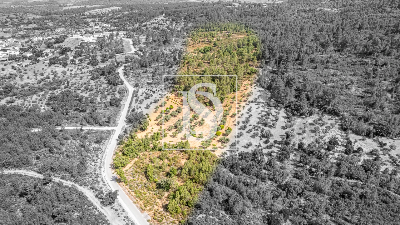 Terreno para Venda em Sarzedas Foto 1