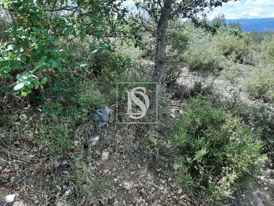 Terreno para Venda em Sarzedas Foto 28