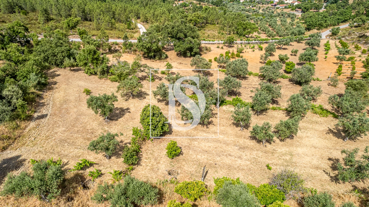 Terreno para Venda em Sarzedas Foto 17