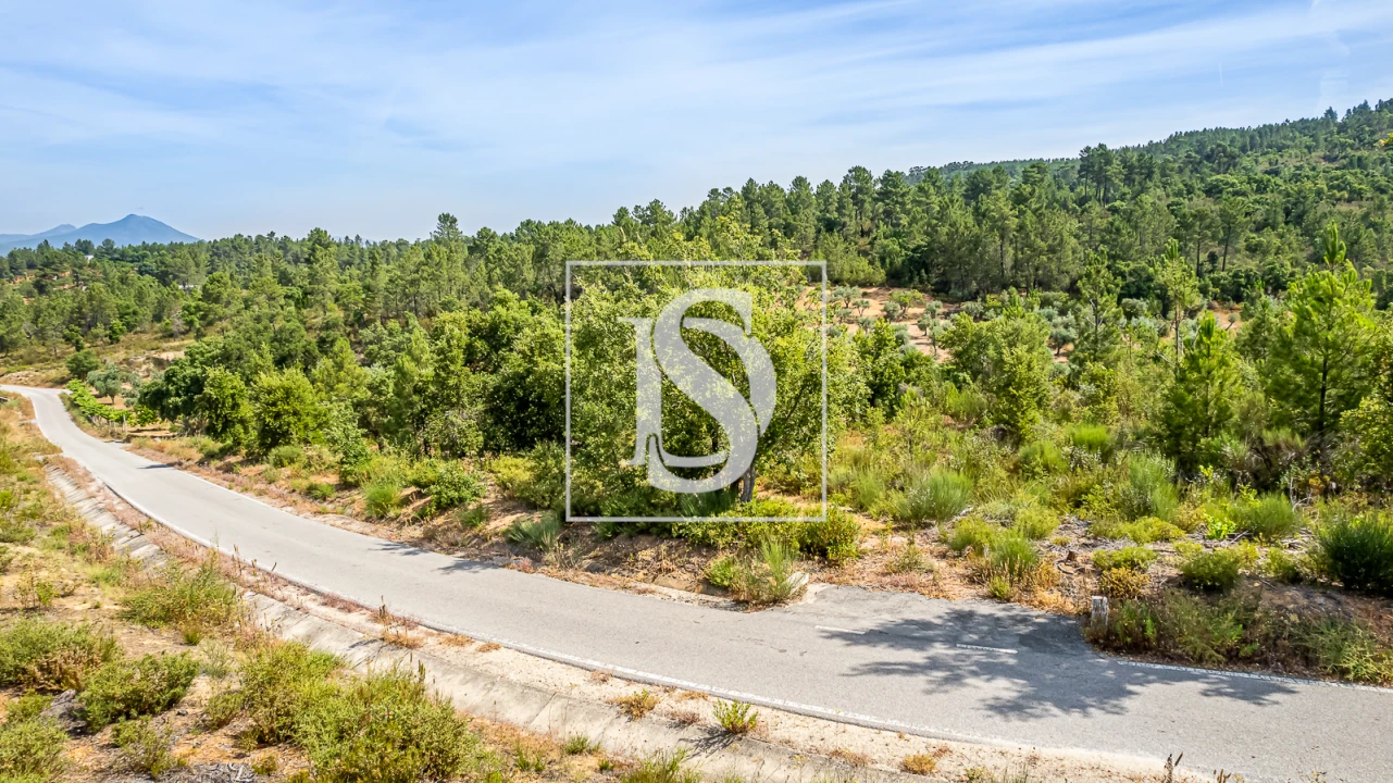 Terreno para Venda em Sarzedas Foto 5