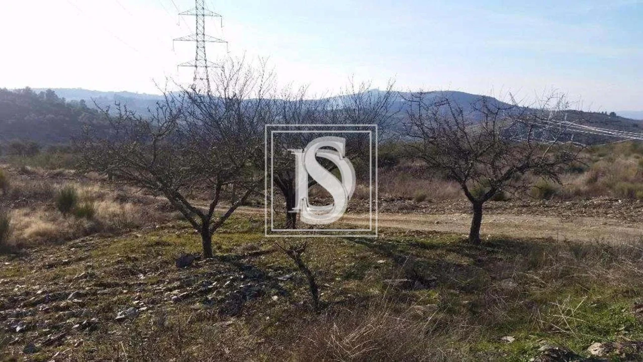 Terreno para Venda em São João da Pesqueira e Várzea de Trevões Foto 23