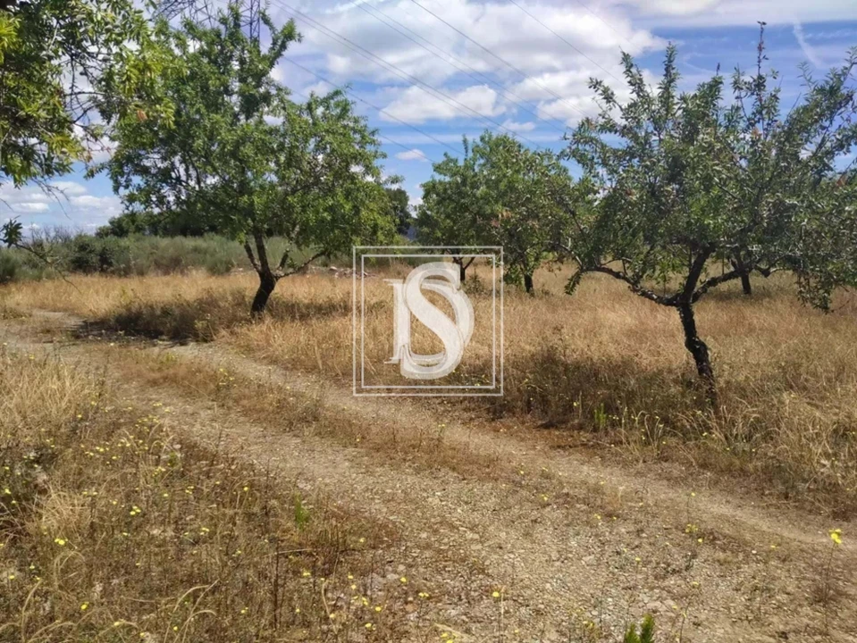 Terreno para Venda em São João da Pesqueira e Várzea de Trevões Foto 21