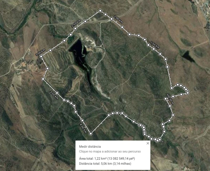 Quinta T3 para Venda em São Miguel do Pinheiro, São Pedro de Solis, São Sebastião dos Carros Planta 2