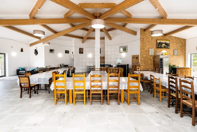 Quinta T3 para Venda em São Miguel do Pinheiro, São Pedro de Solis, São Sebastião dos Carros Foto 27