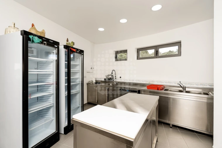 Quinta T3 para Venda em São Miguel do Pinheiro, São Pedro de Solis, São Sebastião dos Carros Foto 30